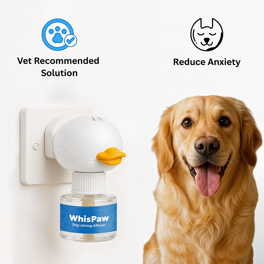 Stop The Indoor Accidents And Restore Your Home's Peace With Whispaw