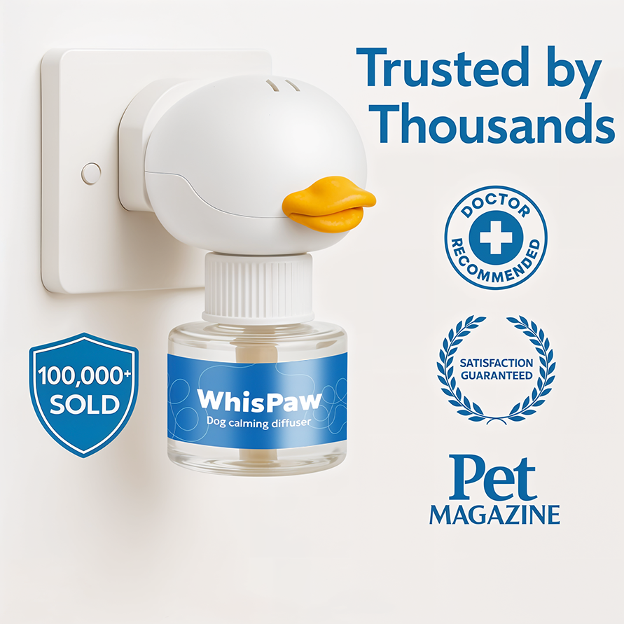 Stop The Indoor Accidents And Restore Your Home's Peace With Whispaw