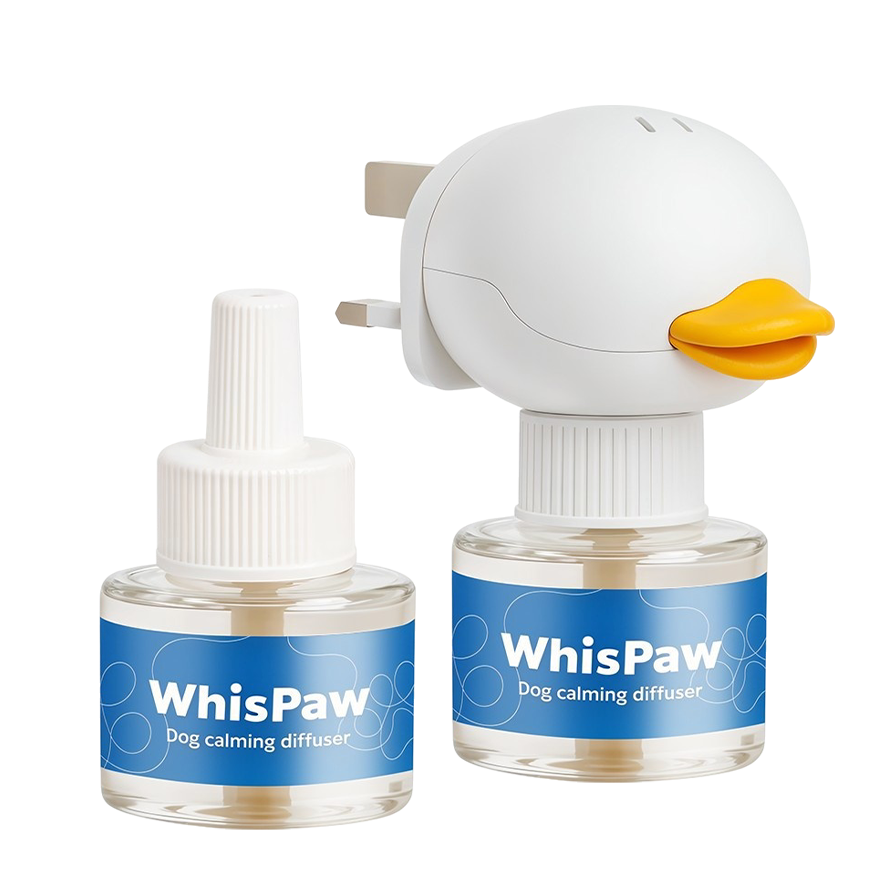 Stop The Indoor Accidents And Restore Your Home's Peace With Whispaw